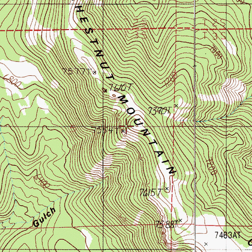 Topographic Map of Chestnut Mountain, MT