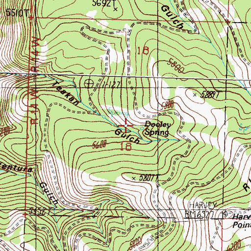 Topographic Map of Dooley Spring, MT