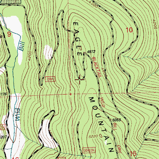 Topographic Map of Eagle Mountain, MT