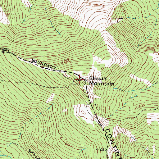 Topographic Map of Elkcalf Mountain, MT