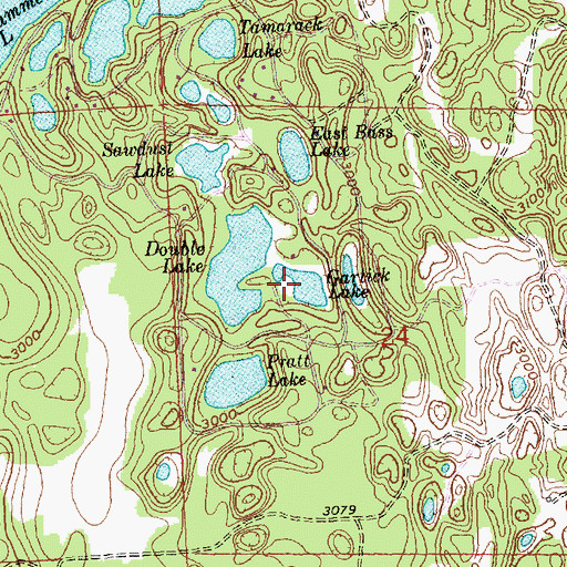 Topographic Map of Garlick Lake, MT