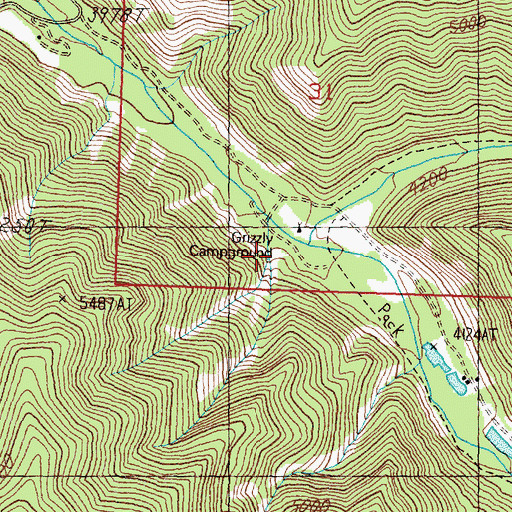 Topographic Map of Grizzly Campground, MT