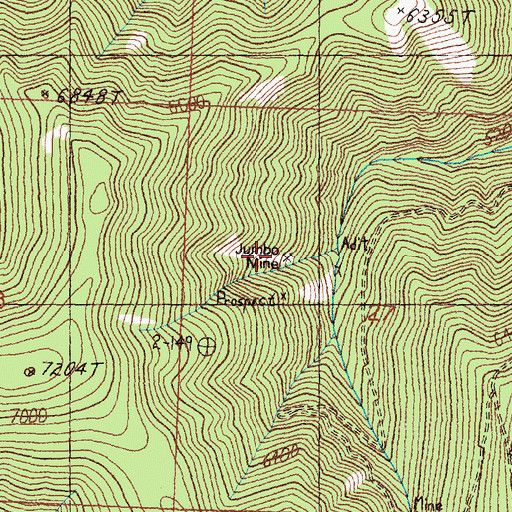 Topographic Map of Jumbo Mine, MT