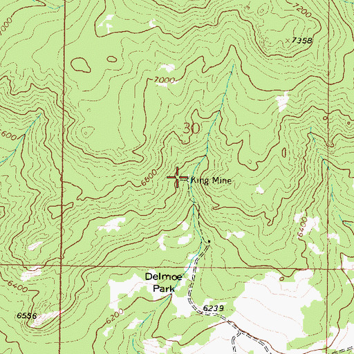 Topographic Map of King Mine, MT