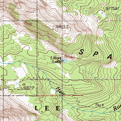 Topographic Map of Lillian Lake, MT
