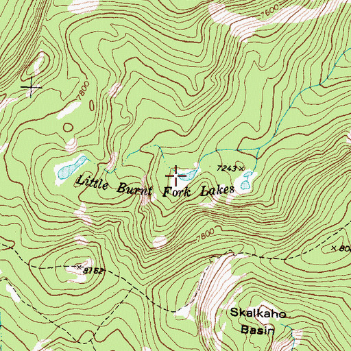 Topographic Map of Little Burnt Fork Lakes, MT