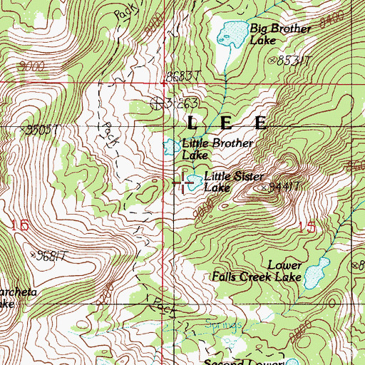Topographic Map of Little Sister Lake, MT