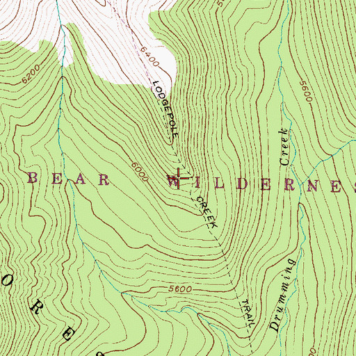 Topographic Map of Lodgepole Creek Trail, MT