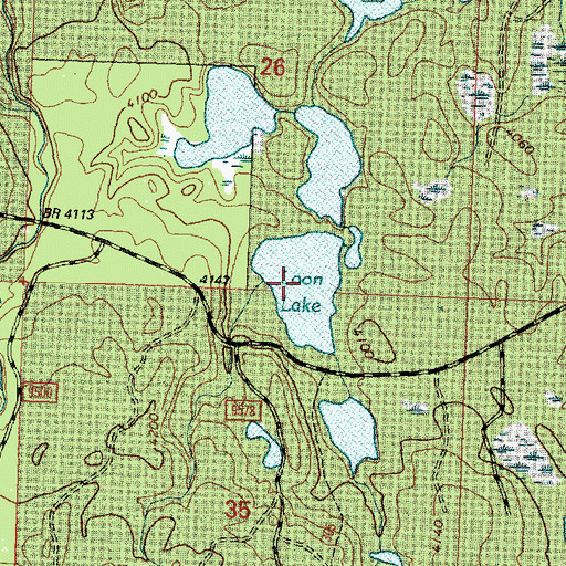 Topographic Map of Loon Lake, MT