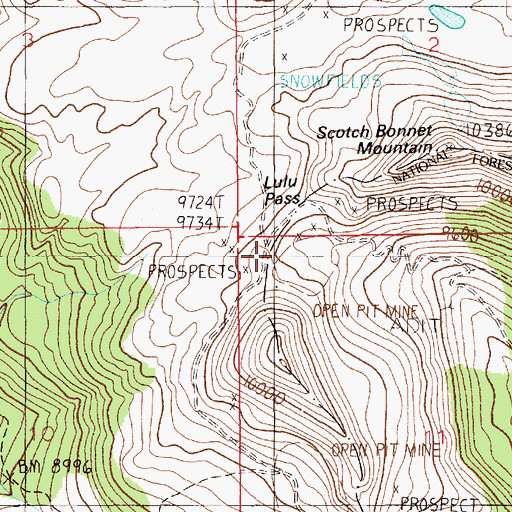 Topographic Map of Lulu Pass, MT