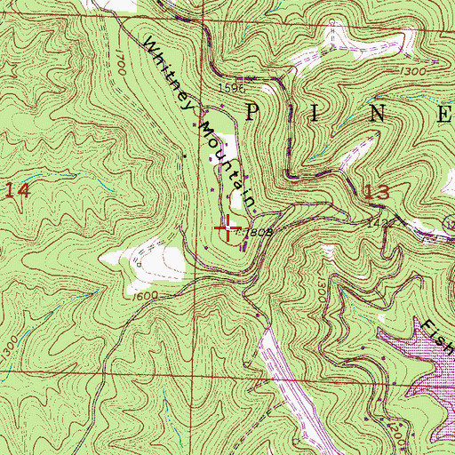 Topographic Map of Whitney Mountain, AR
