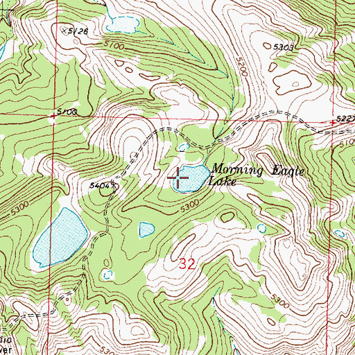 Topographic Map of Morning Eagle Lake, MT
