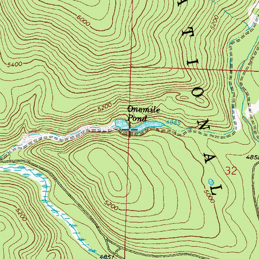 Topographic Map of Onemile Pond, MT