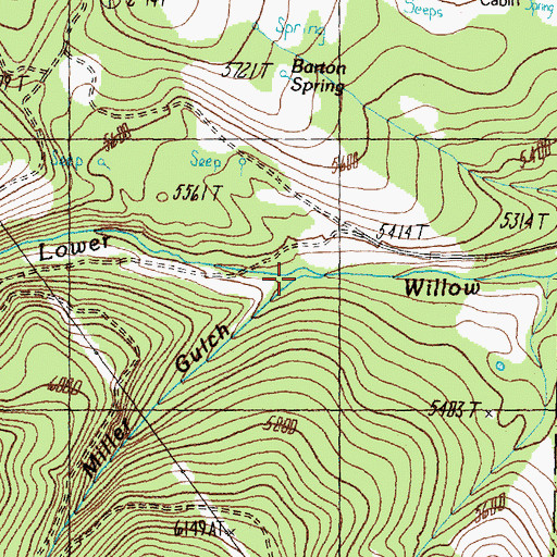 Topographic Map of Miller Gulch, MT