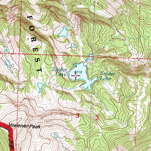 Topographic Map of Spider Lake, MT