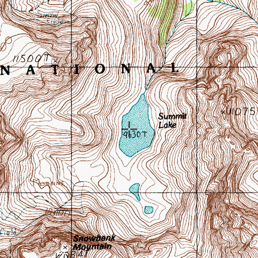 Topographic Map of Summit Lake, MT