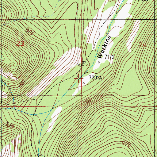 Topographic Map of West Fork Watkins Creek, MT