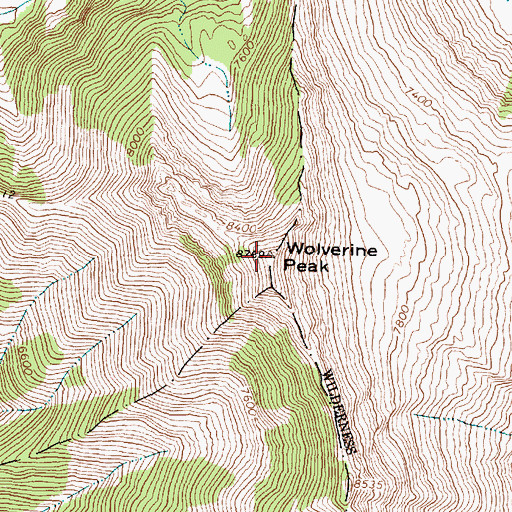 Topographic Map of Wolverine Peak, MT