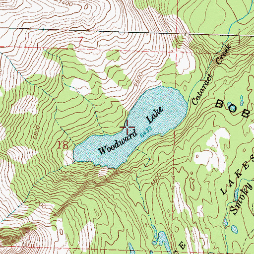Topographic Map of Woodward Lake, MT