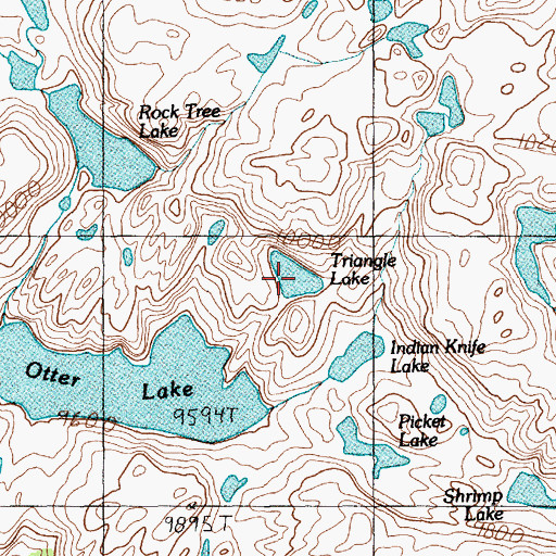 Topographic Map of Triangle Lake, MT