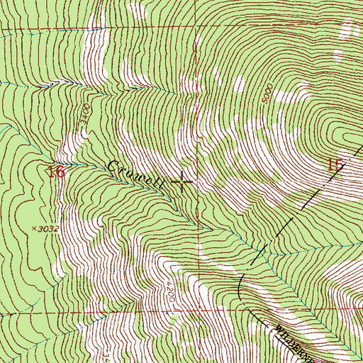Topographic Map of Crowell Trail, MT