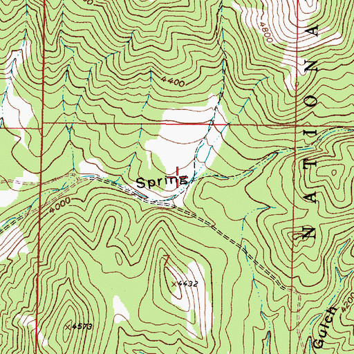 Topographic Map of Grant Gulch, MT