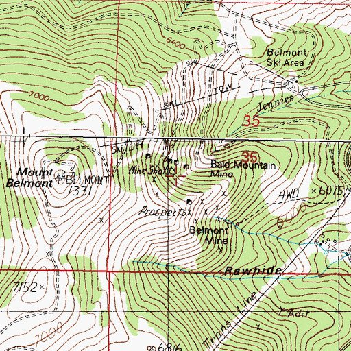 Topographic Map of Bald Mountain Mine, MT