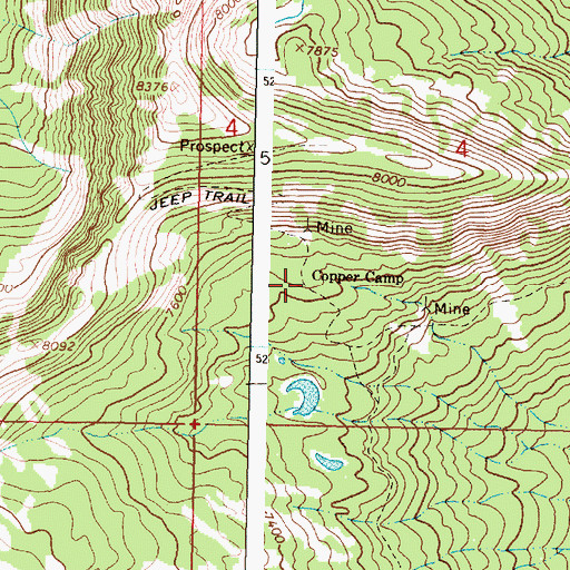 Topographic Map of Copper Camp, MT