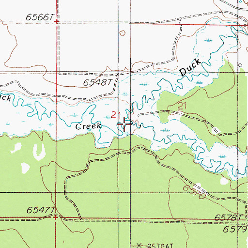 Topographic Map of Cougar Creek, MT