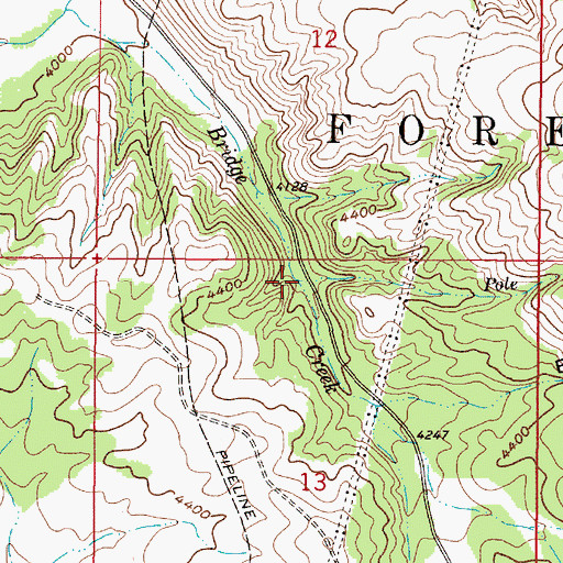 Topographic Map of Pole Creek, MT