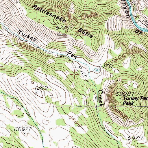 Topographic Map of Rescue Creek Trail, MT
