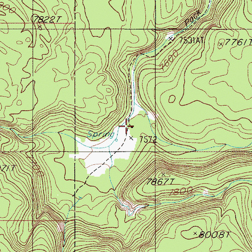 Topographic Map of South Riverside Cabin, MT