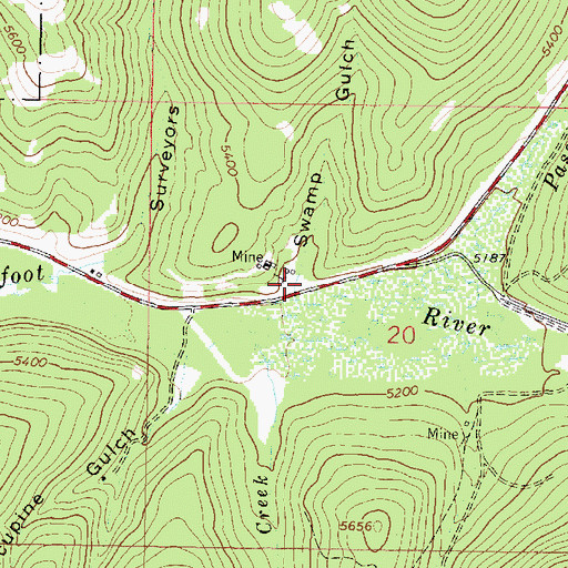Topographic Map of Swamp Gulch, MT