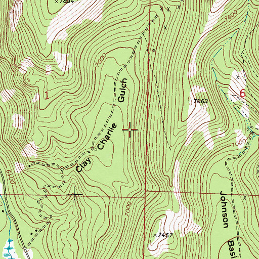 Topographic Map of Silver Moss Mine, MT