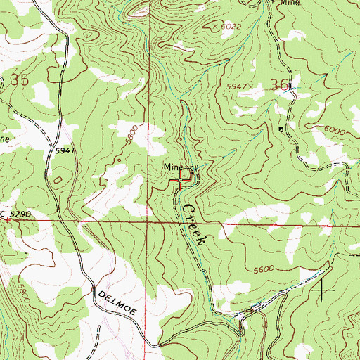 Topographic Map of SW SW Section 36 Mine, MT