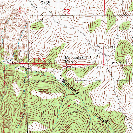 Topographic Map of Mountain Flower Mine, MT