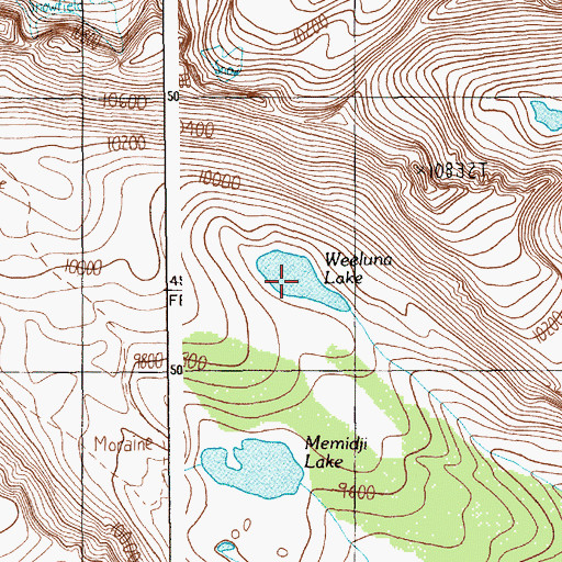 Topographic Map of Weeluna Lake, MT