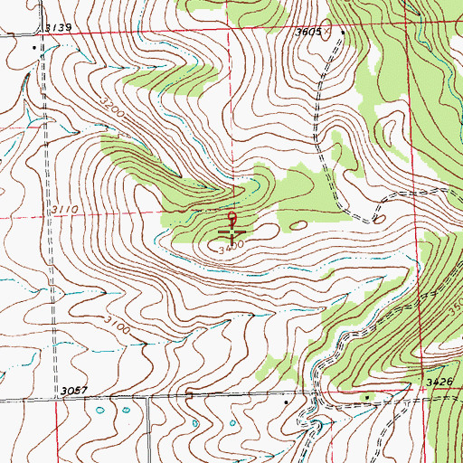 Topographic Map of 19N19W09DBBD01 Well, MT