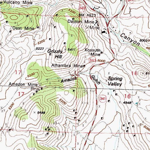 Topographic Map of Amazon Gulch, NV