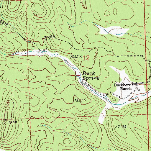 Topographic Map of Buck Spring, NV