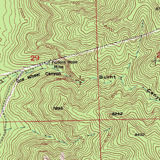 Topographic Map of Burnt Canyon, NV