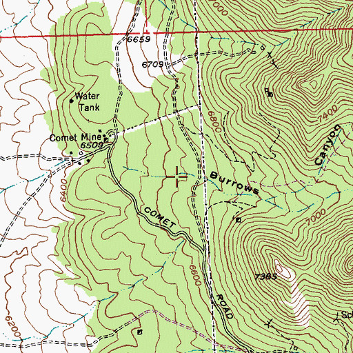 Topographic Map of Burrows Canyon, NV