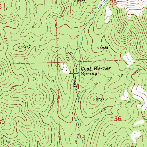 Topographic Map of Coal Burner Spring, NV