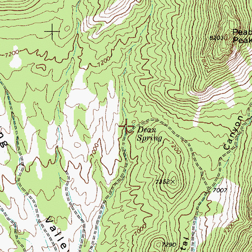Topographic Map of Dean Spring, NV