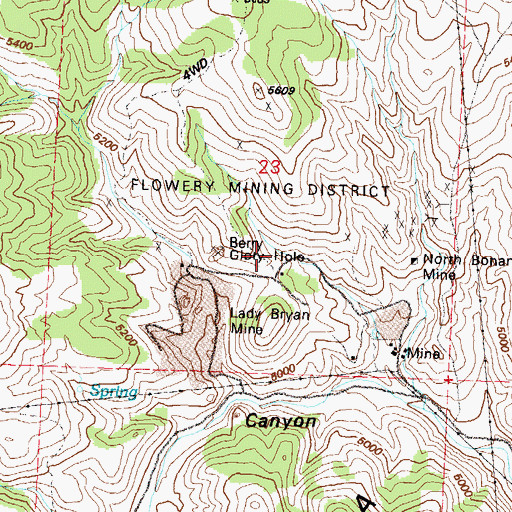 Topographic Map of Flowery Mining District, NV