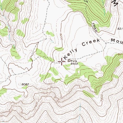 Topographic Map of Kelly Creek Mountain, NV
