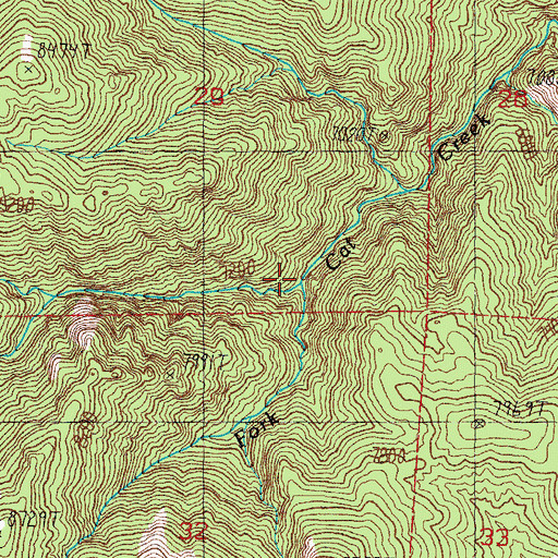 Topographic Map of Middle Fork Cat Creek, NV