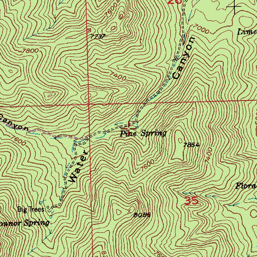 Topographic Map of Pine Spring, NV