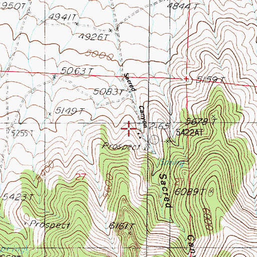 Topographic Map of Sacred Canyon, NV