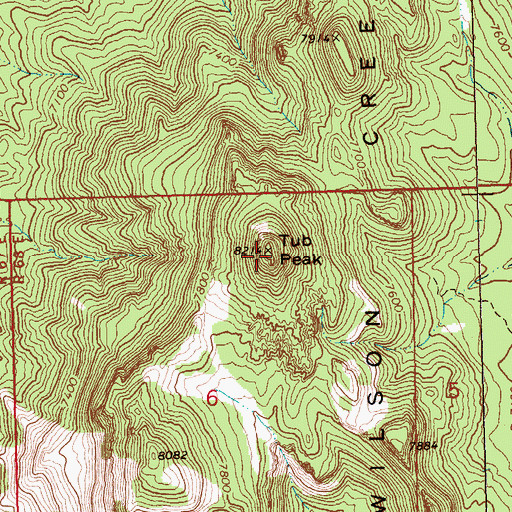 Topographic Map of Tub Peak, NV